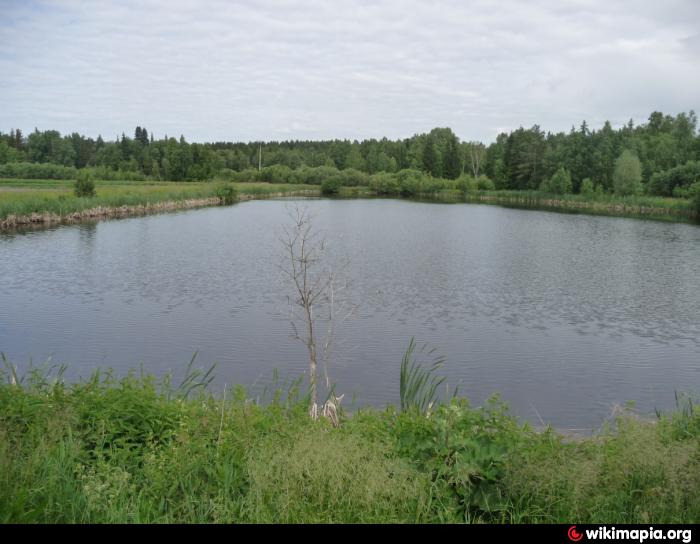 Чаши курганская обл