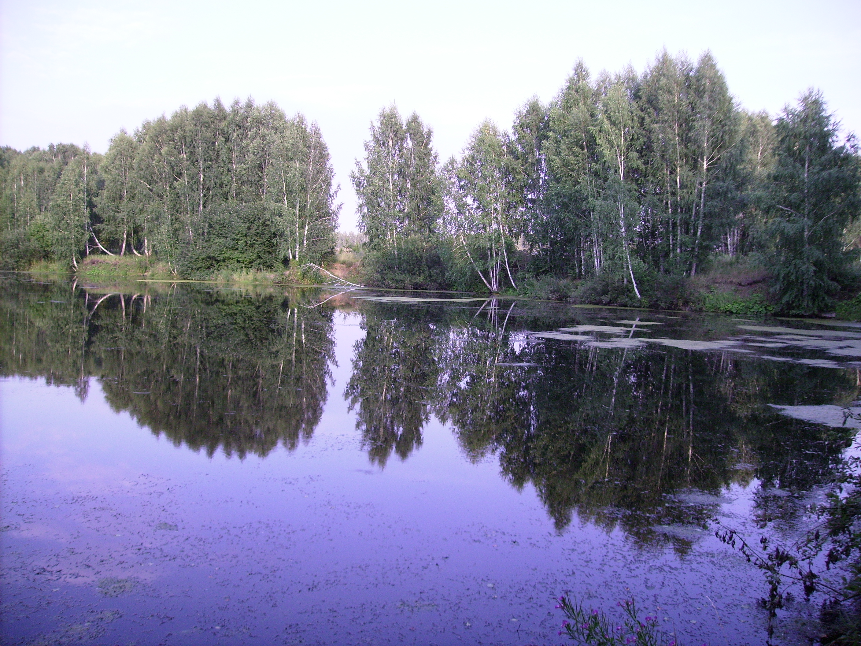 Скупые озерца. Ташкуль озеро Челябинская область. Челябинск озеро Ташкуль. Озеро Ташкуль 110 км от Екатеринбурга. Озеро и озерцо.