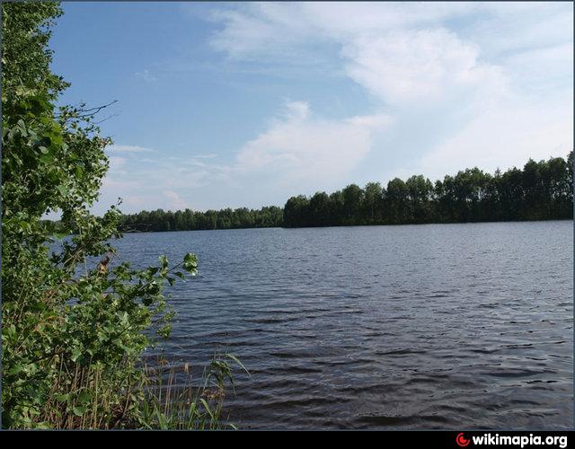 Озеро боровское. Озеро Костичево Нижегородская область. Озеро Костичево Балахнинский район. Озеро Боровское Балахна. Боровское озеро Нижегородской области.