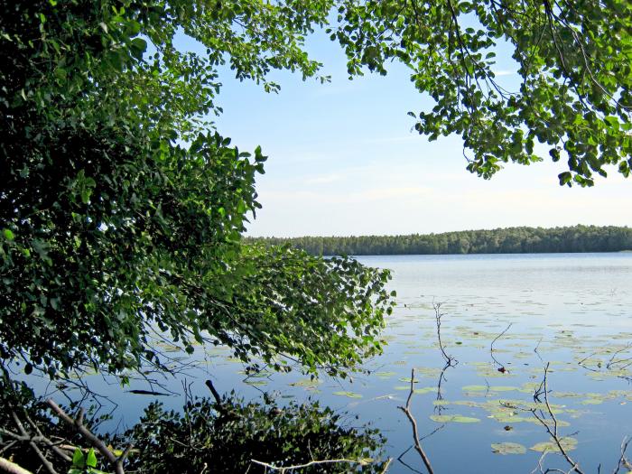 Озеро уржинское рязань фото