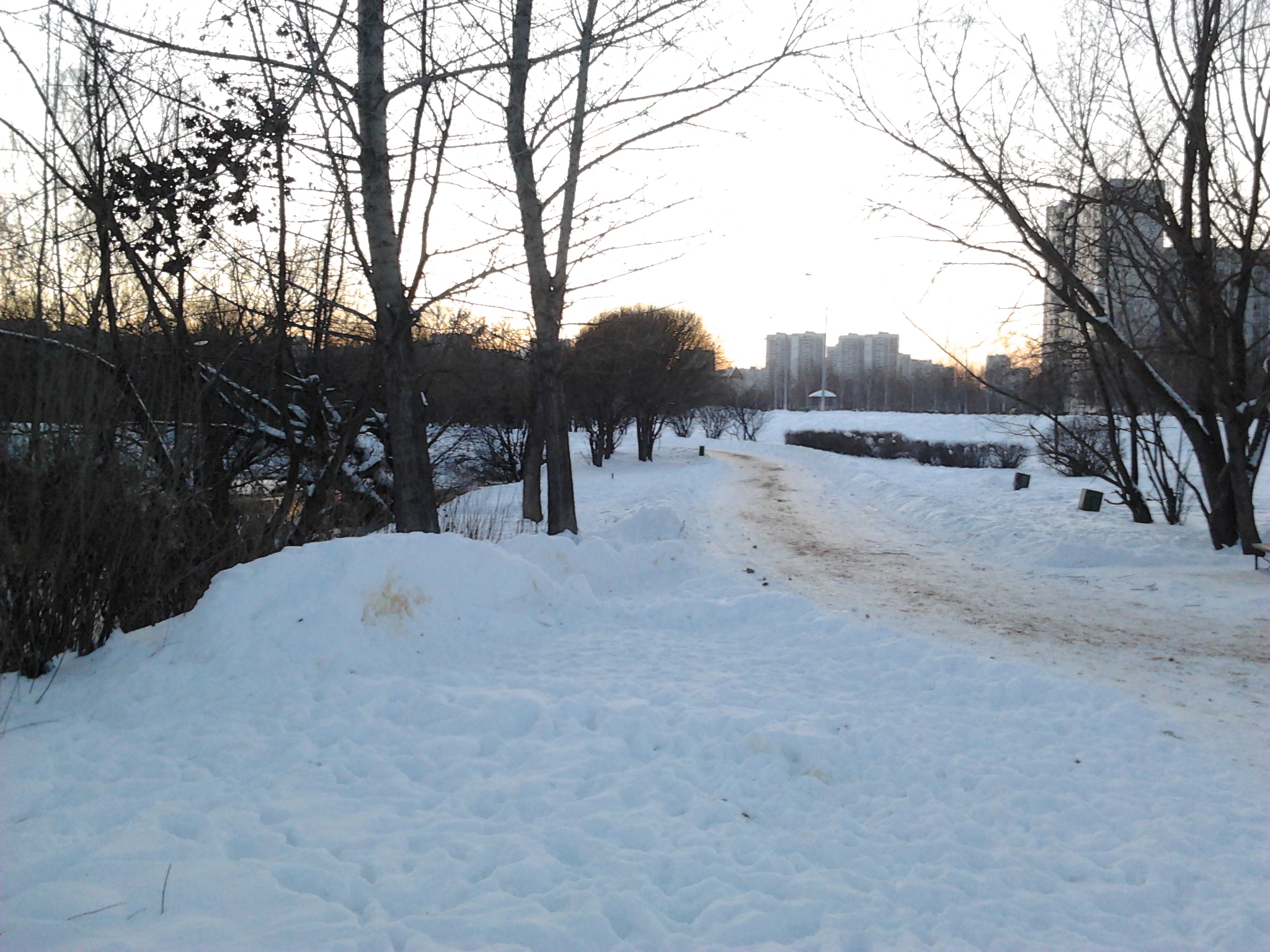 парк в пойме реки городни