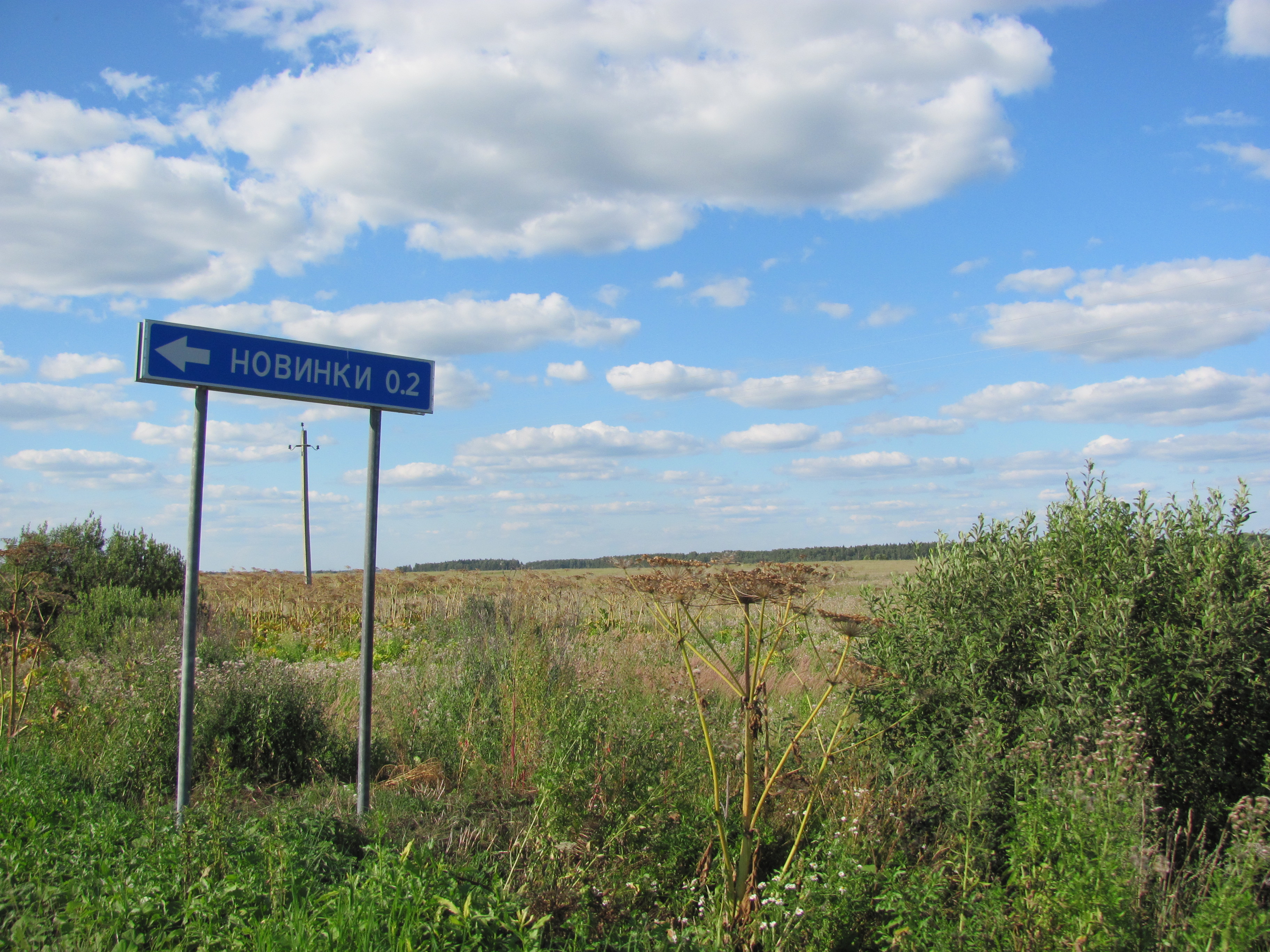 Село 8. Лотошино Волоколамский район. Хворостово Рязанская область. Деревня Лотошино Волоколамский район фото. База а Хворостово Рязанская обл..