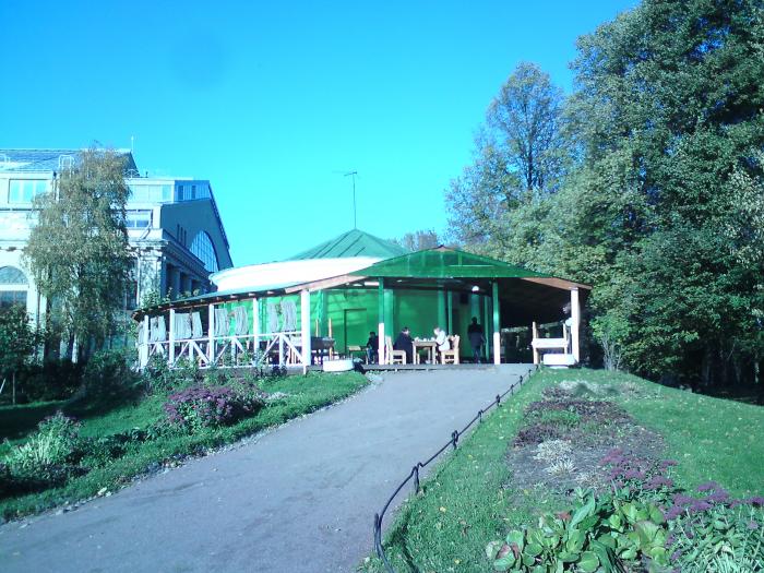 Кафе горка