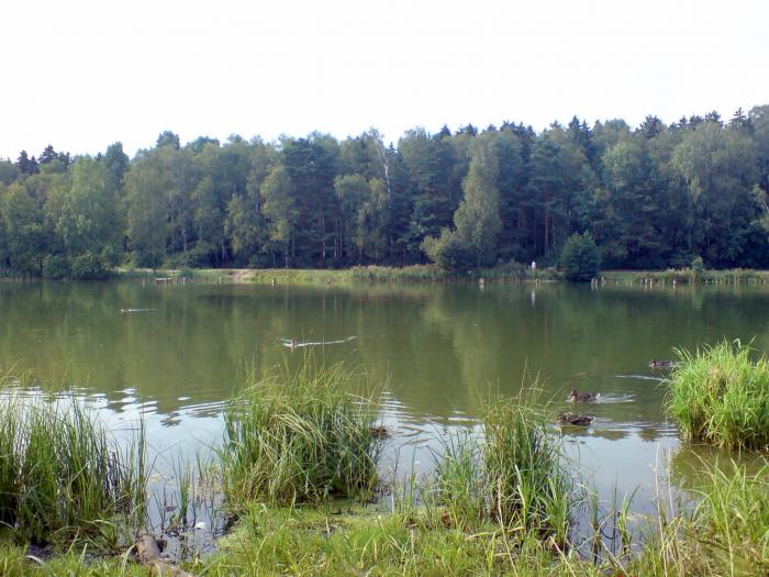 Заячьи озера село. Заячье (озеро, Татарстан). Заячье озеро Железнодорожный. Озеро Заячье Столбище. Озеро Заячье Балашиха.