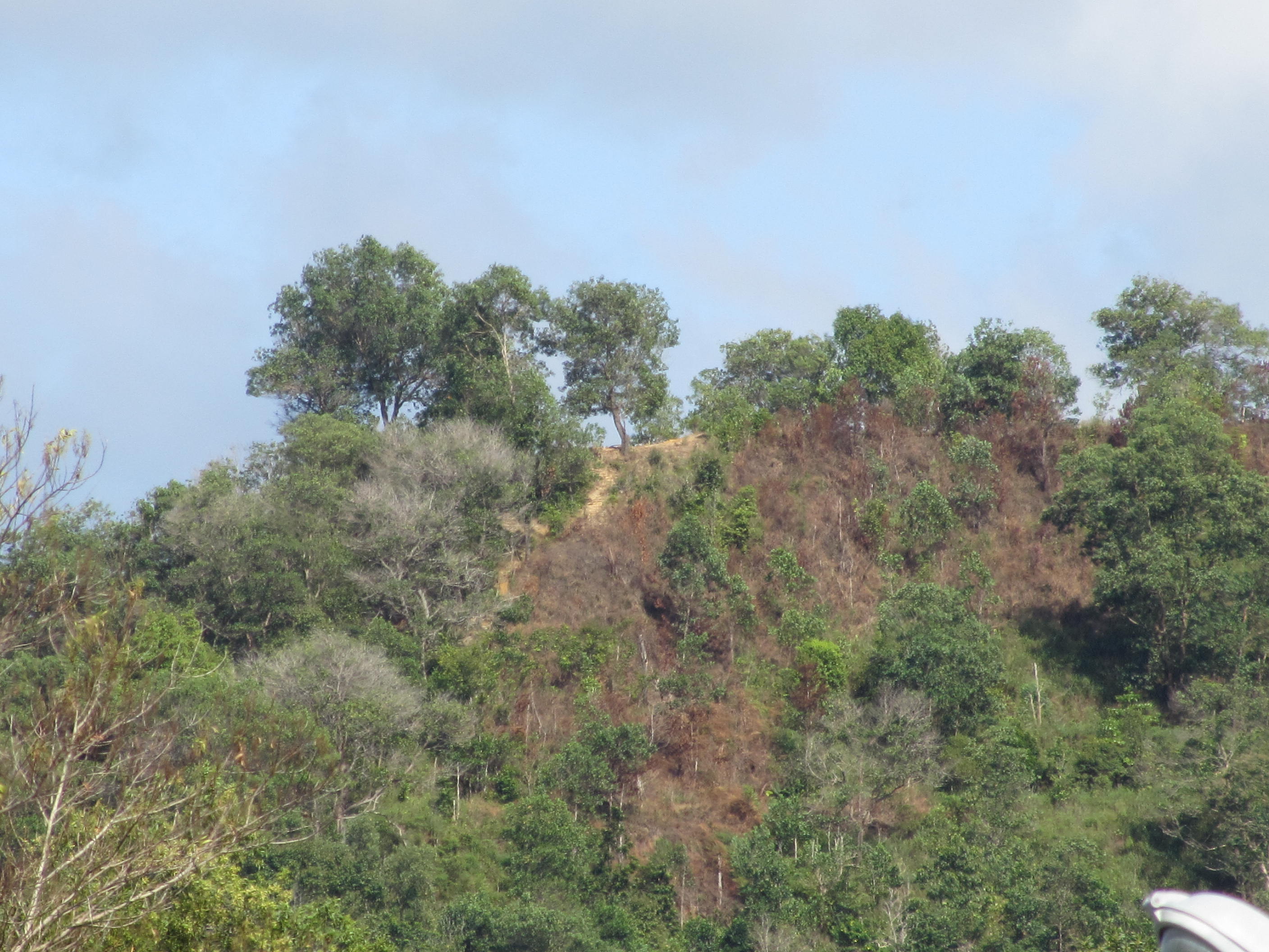 Peak Of Bukit Padang