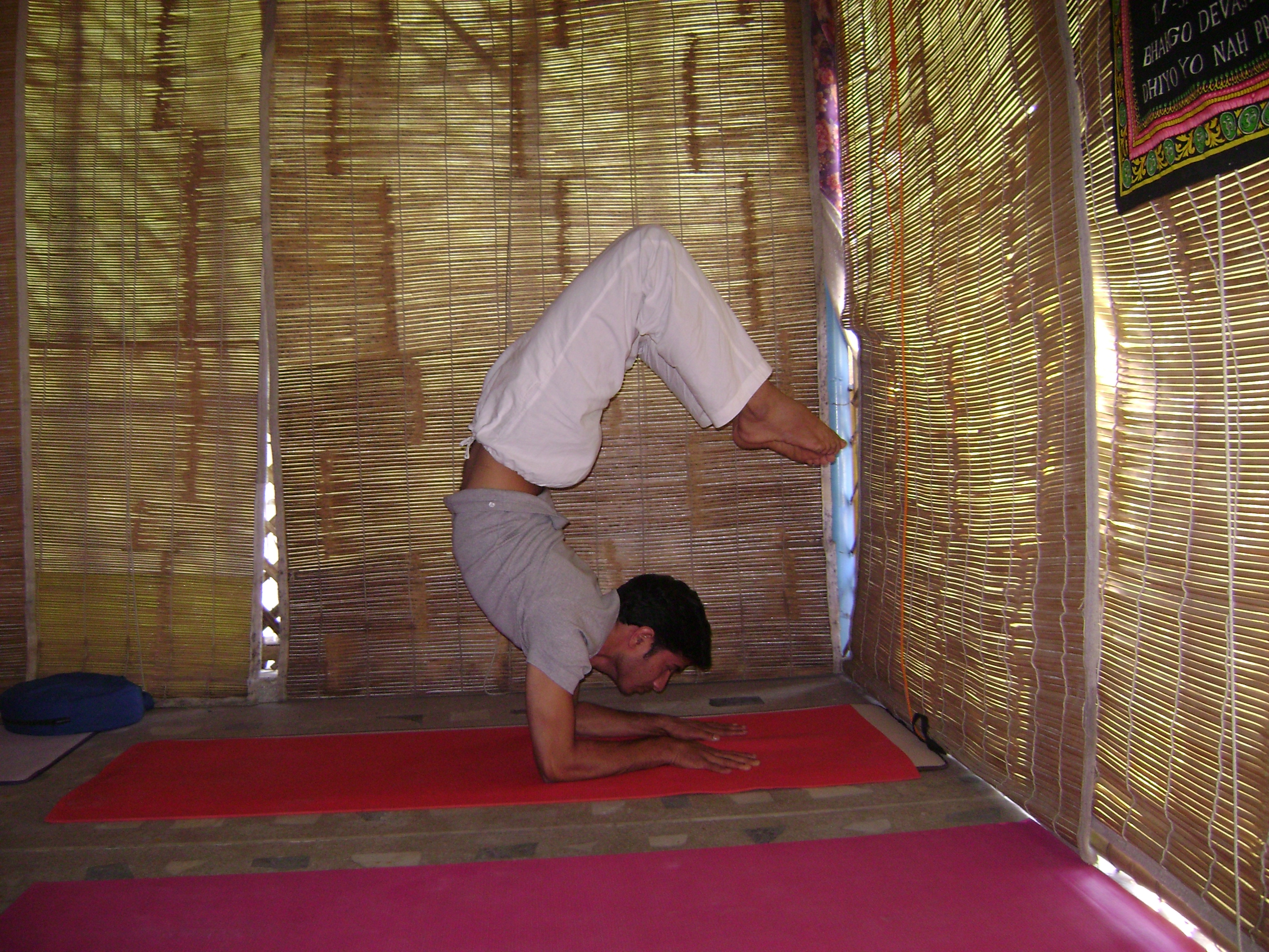 andhya yoga studio - Rishikesh