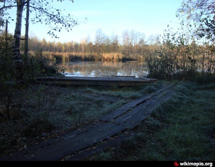 Нижнее велино московская область