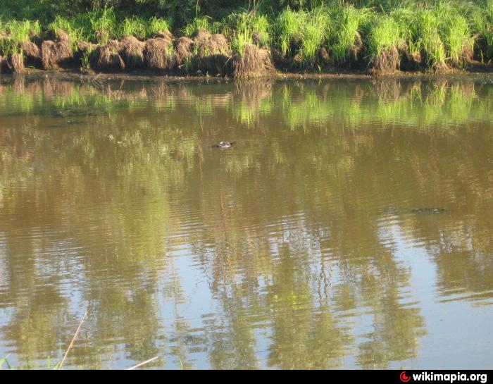 Село Песьяное Куртамышский район