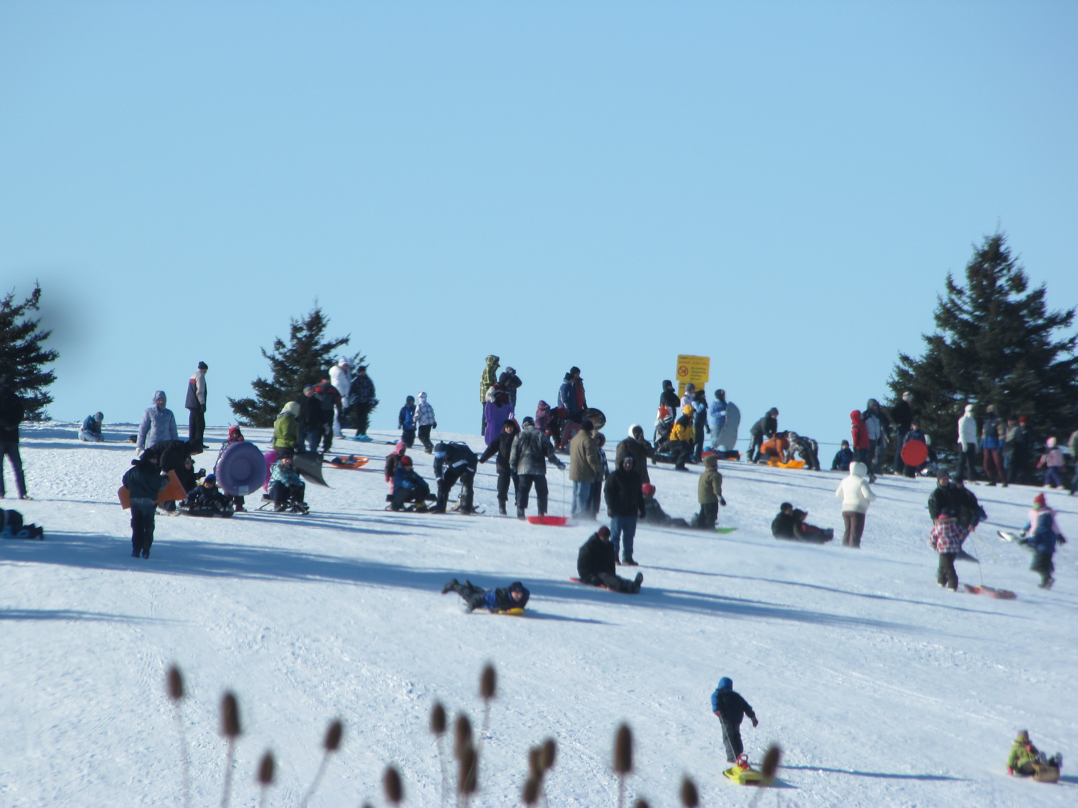 Designated Toboggan Hill Area Toronto, Ontario