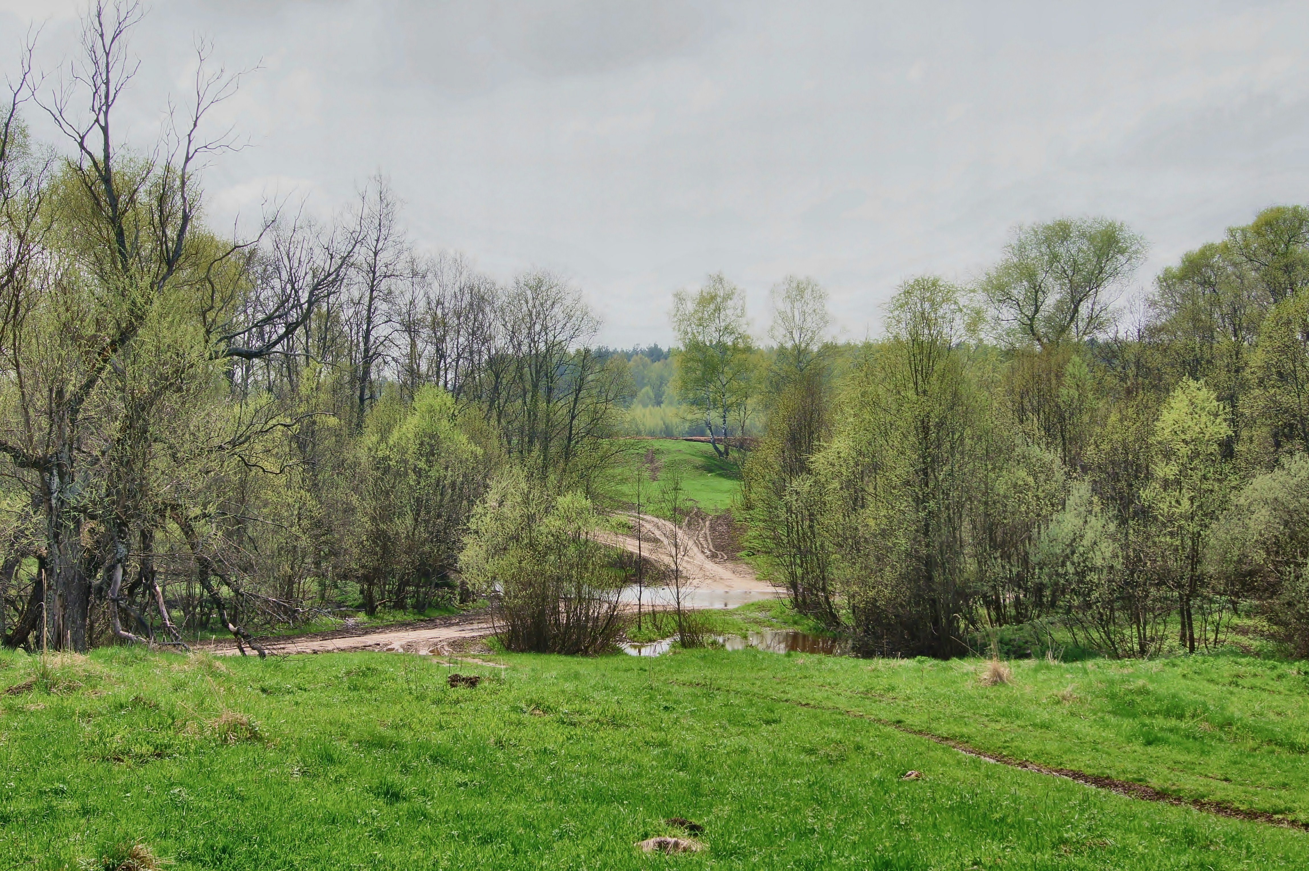 погода в кожановке брянская область