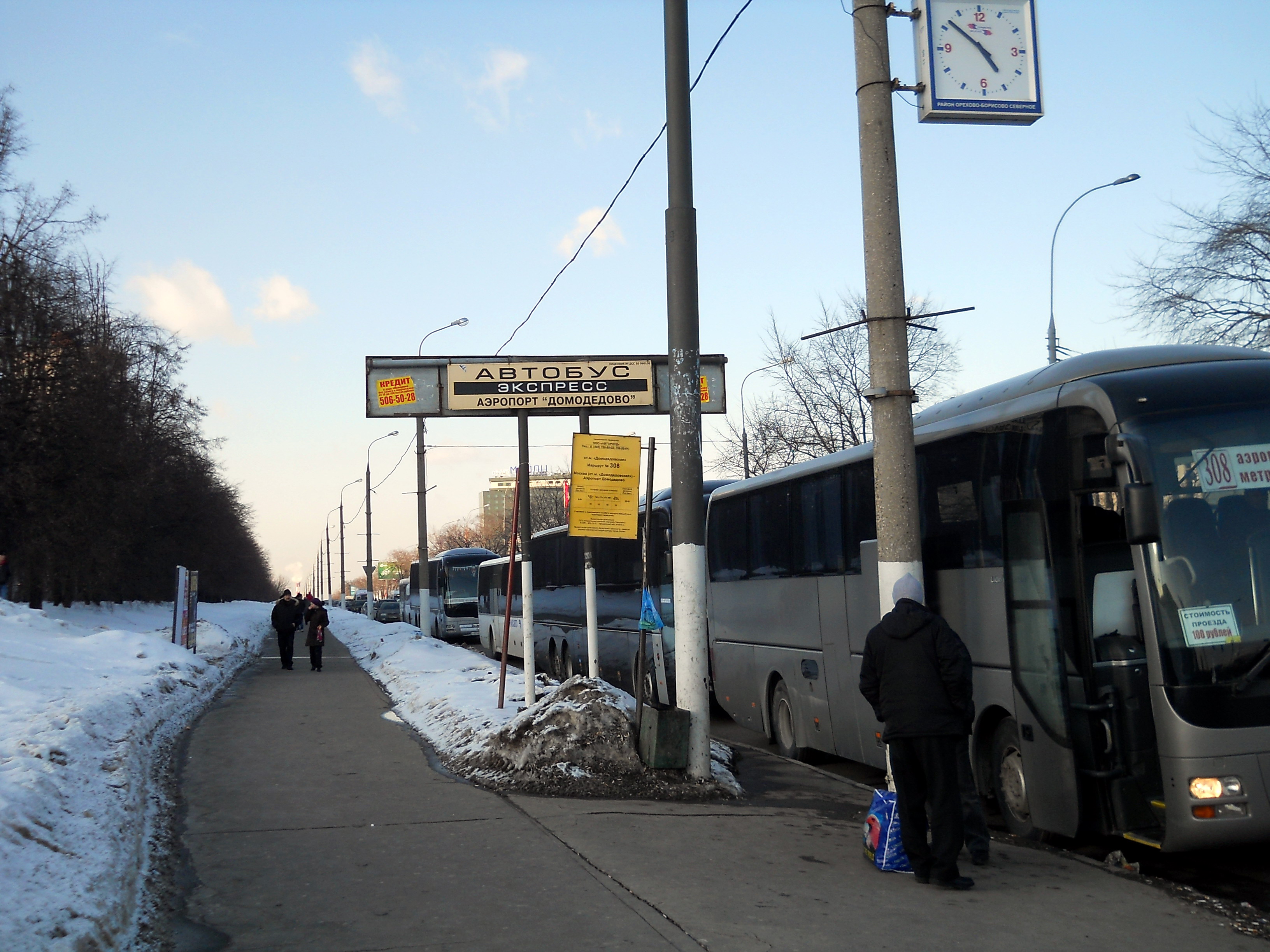 автобусы в аэропорт домодедово