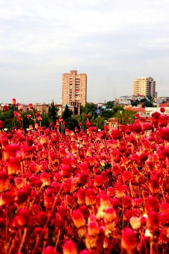 Erebuni District Yerevan