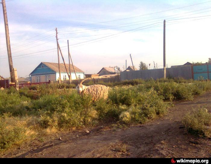 Погода в полтавке. Село Полтавка Омская область. Посёлок Полтавка Казахстан. Красногорка Полтавский район Омская область. Полтавка фото.