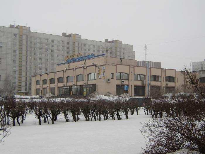 пулковское шоссе 3 к 4. пулковский универсам фото. универмаг пулковский. универмаг пулковский. универсам пулковский спб.