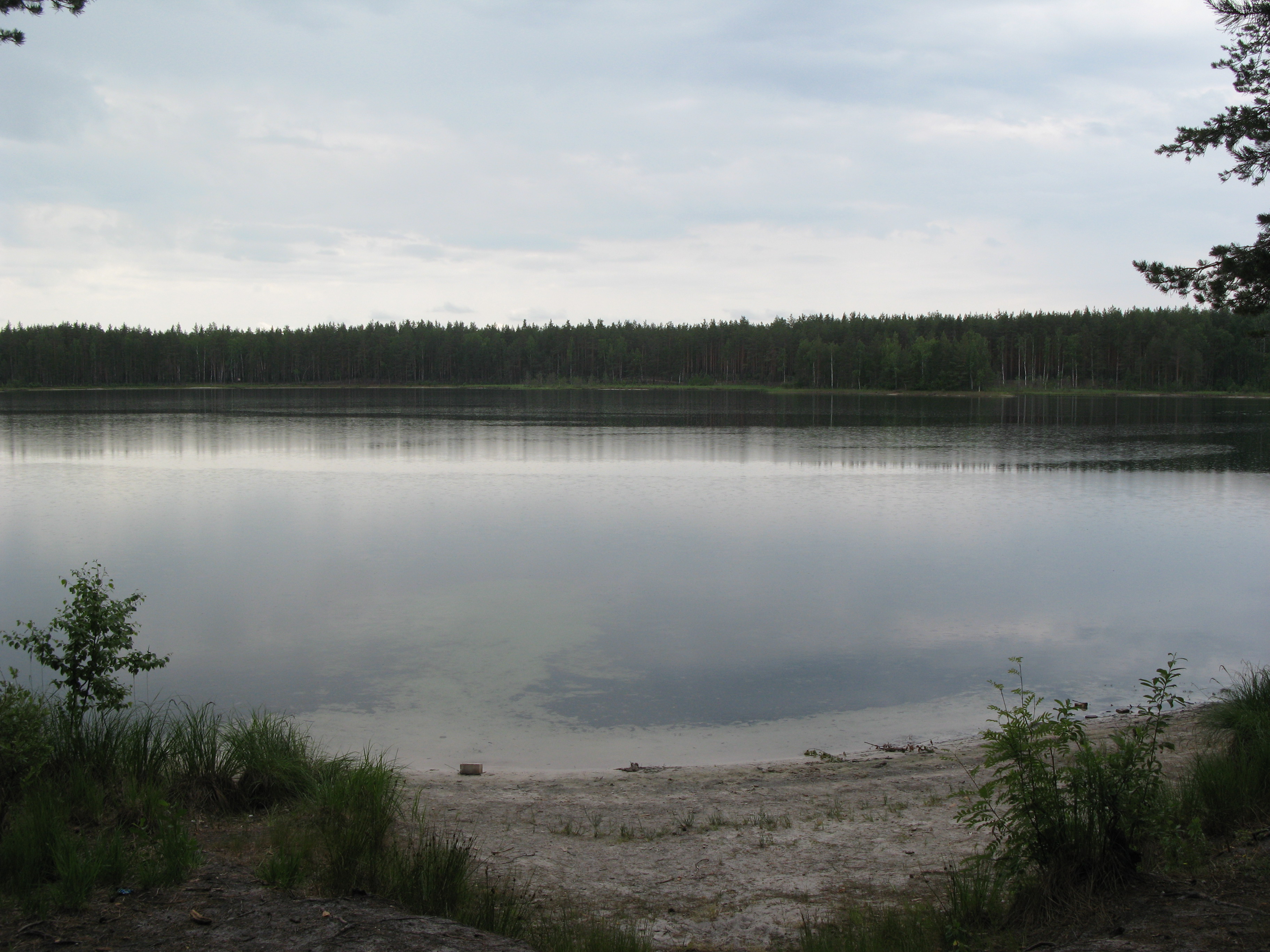 Широха озеро меленковский район фото