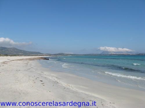 Spiaggia Della Cinta