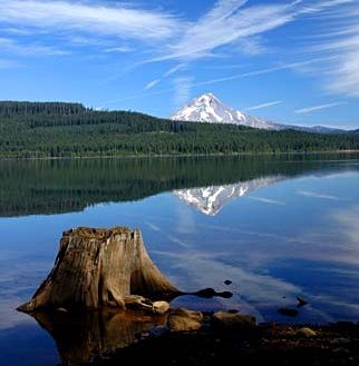 Timothy Lake | fishing area, camping pitch, artificial lake, boat ramp ...