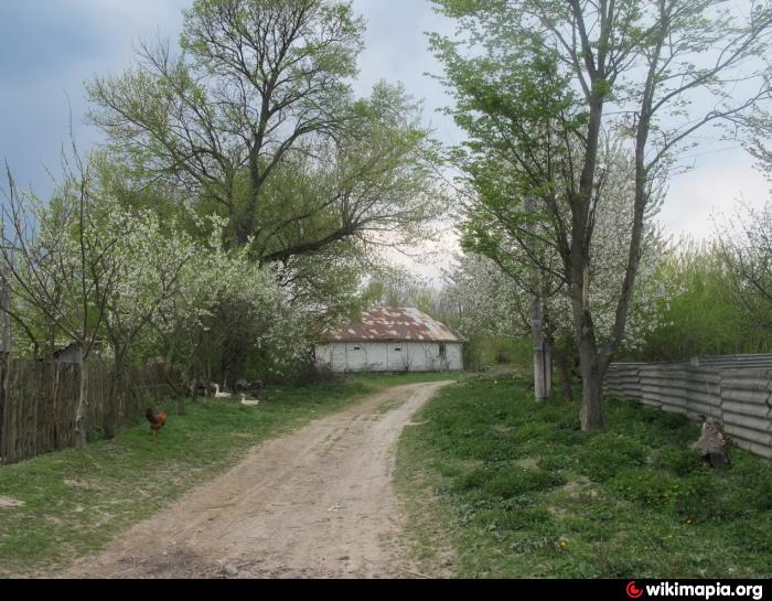 Фотографии С Вариводки Белогорского Р На