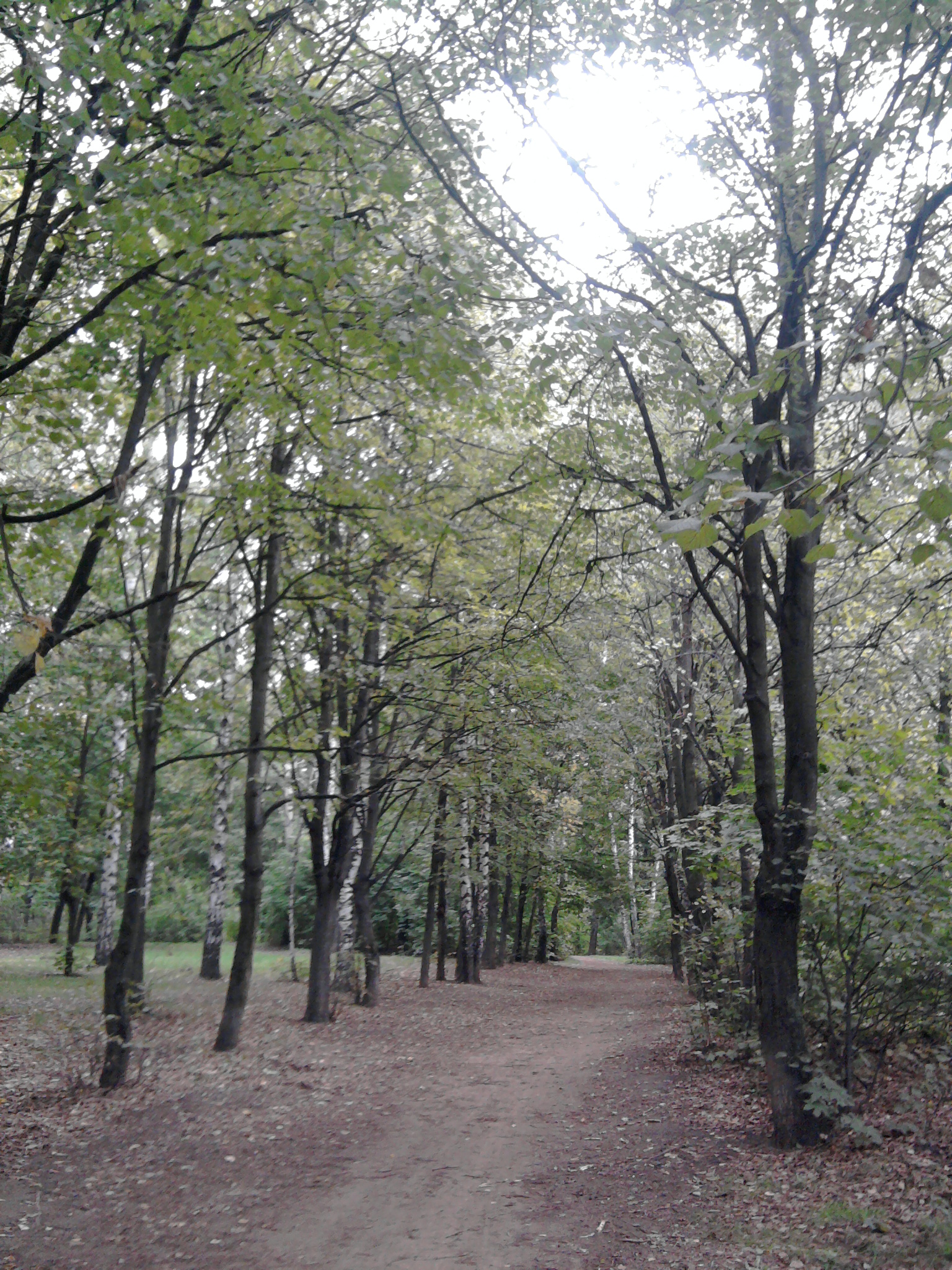 люберецкий парк культуры