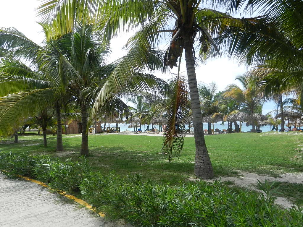 Roc Barlovento Hotel - Varadero