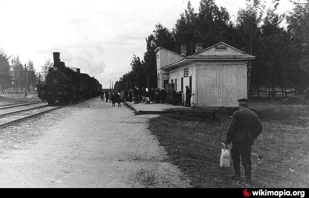 Решетниково клин. Полустанок Петрушино. Станция Решетниково СССР. Ж.Д. полустанки 1950 год. Шалдонский Полустанок.