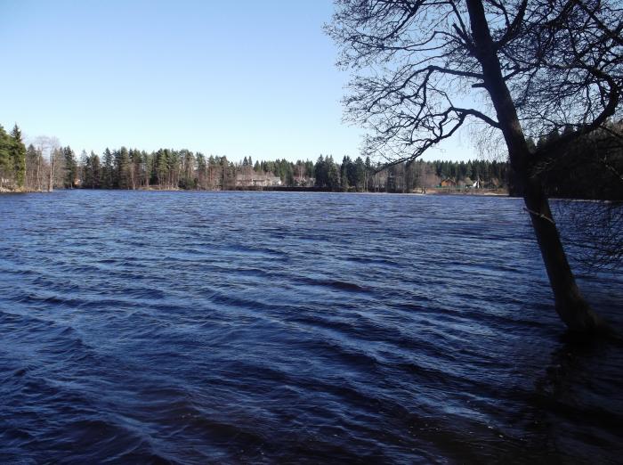 Озеро Лебяжье в Ленинградской области: рыбная ловля, отдых, природа