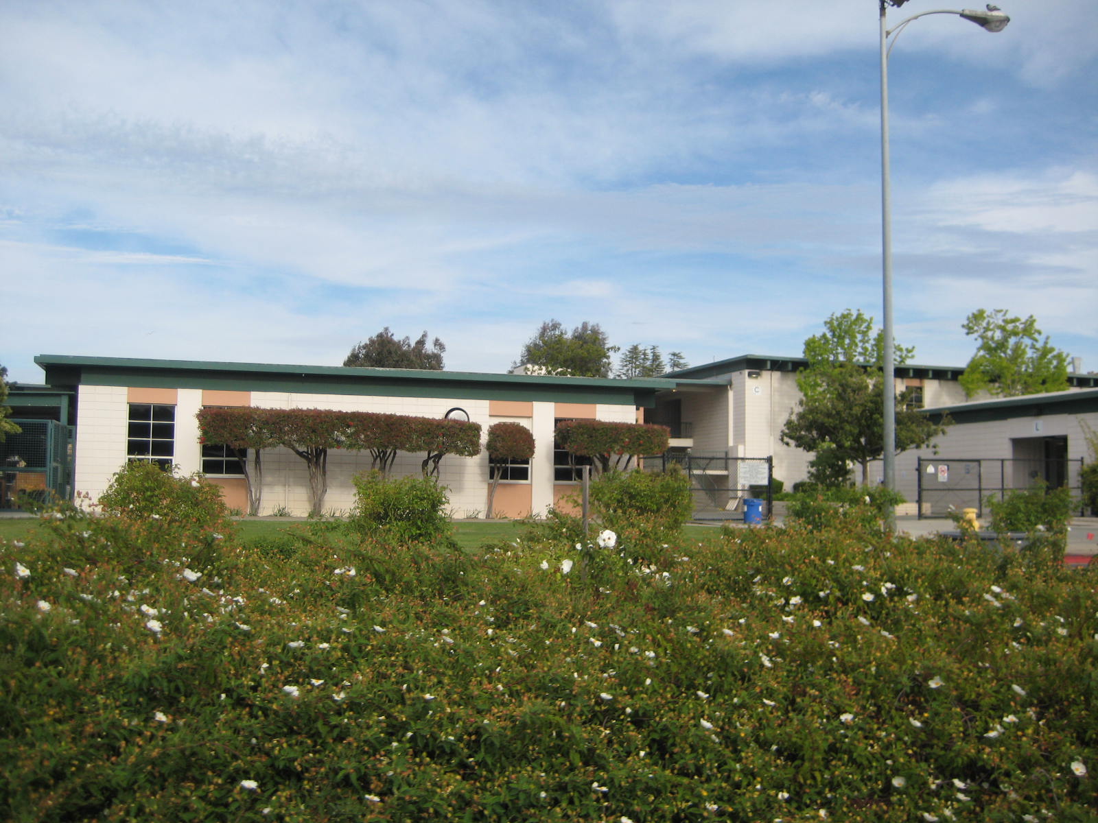 Homestead High School - Cupertino, California