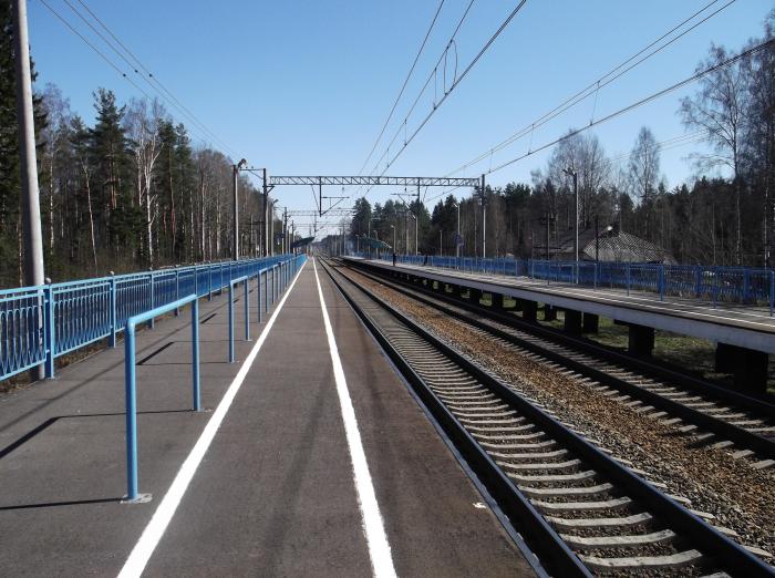 непассажирские станции. остановочный пункт радужный тамбов. бекасово центральное фото. станция овражная. железнодорожная платформа.