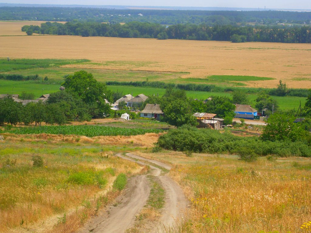 Николаевская область села. Николаевская область Украина деревни. Доманевский район Николаевская. Ивановка Очаковский район Николаевская область. Николаевская обл Очаковский район село Дмитриевка.