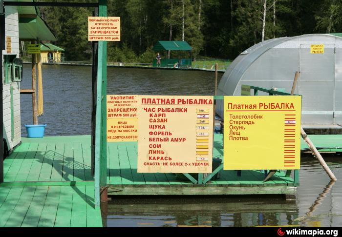Благодать пруды платная. Рыбалка на платных прудах. Платная рыбалка табличка. Платные пруды в Москве для рыбалки. Платная рыбалка в Москве.
