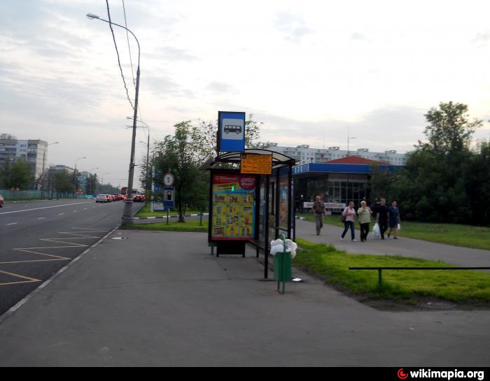 Ясенево остановки. Остановка метро Домодедовская Каширское шоссе. Остановка Дмитровское шоссе ,116. Остановка Каширское шоссе Домодедовская. Остановка Каширское шоссе ул Ясеневая автобус 263.