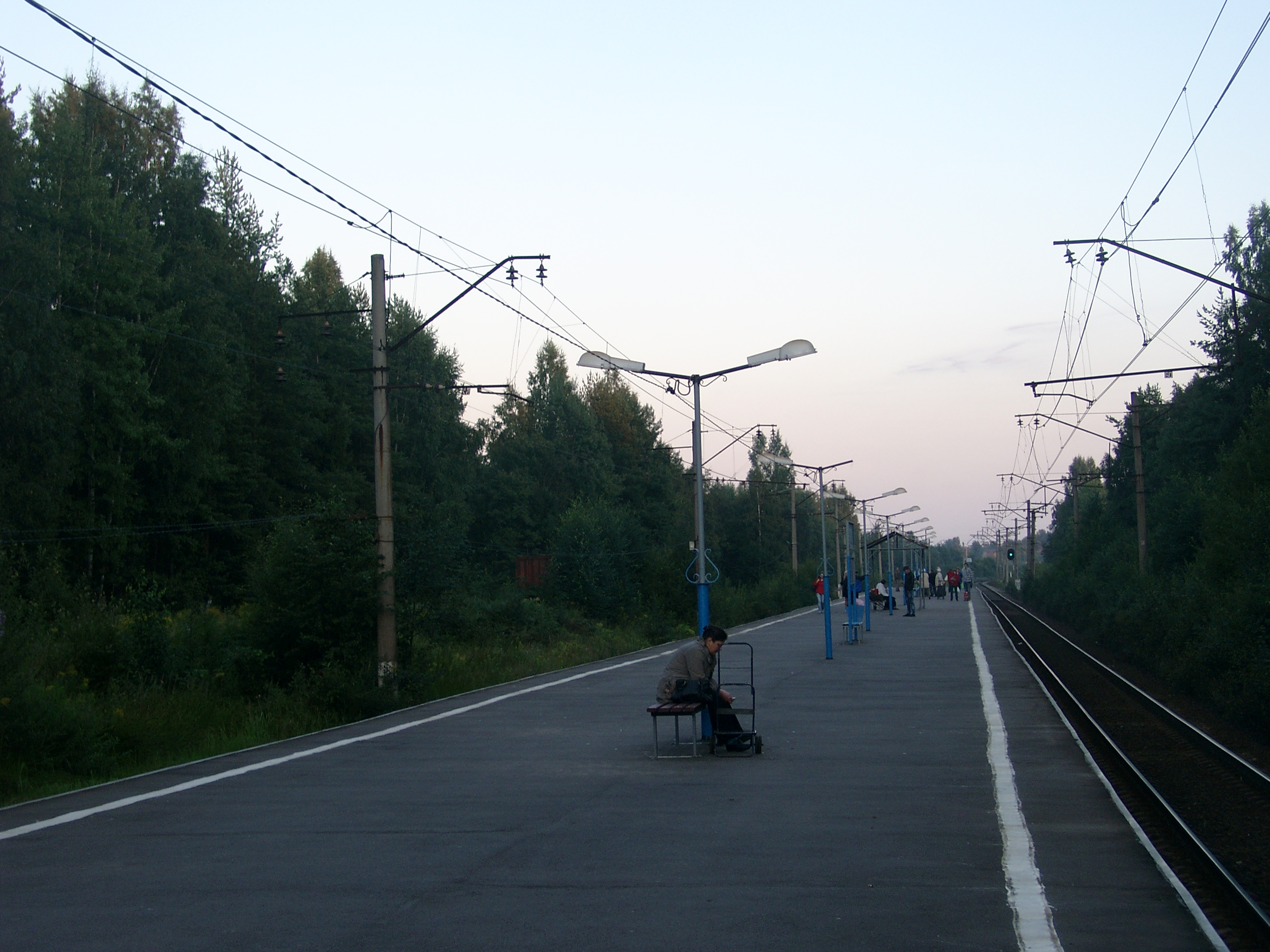 47 км в час. Платформа 47 км. Платформа 47 километр Ленинградская область. Платформа Грузино. Станция Грузино. Станция Васкелово платформа.