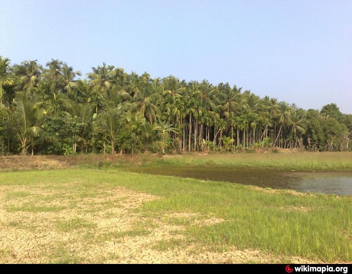 kaduvalloor - kodinhi gramam twins village