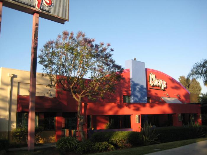 The Blue Door Restaurant Bar San Jose California