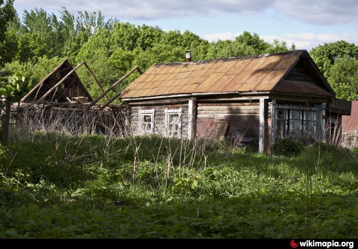 Дер гари. Деревня Гари Перевозский район. Деревня Гари Нижегородская область Перевозский район. Село Гари Ардатовский район. Деревня новая Перевозский район.