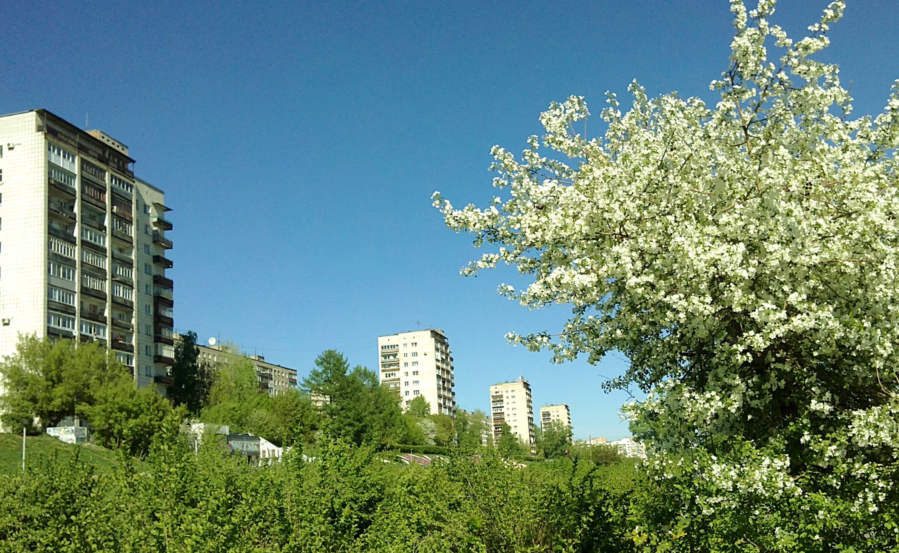 Пермь весной фото Петропавловской город пермь: найдено 90 изображений