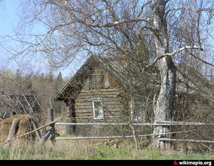 Ленинградский часто. Деревня чаща Ленинградская область. Деревня чаща Гатчинский район. Поселок чаща Деревенские дома. Заповедник в Гатчинском районе деревня чаща.