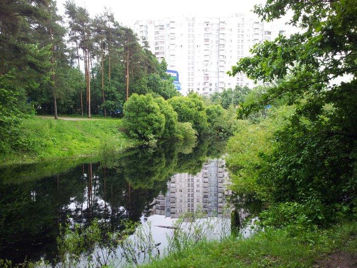 Части пруда. Пруд Дунай Бирюлево. Пруд Дунай в Загорье. Пруд Дунай Москва. Пруду Дунай на Липецкой улице.