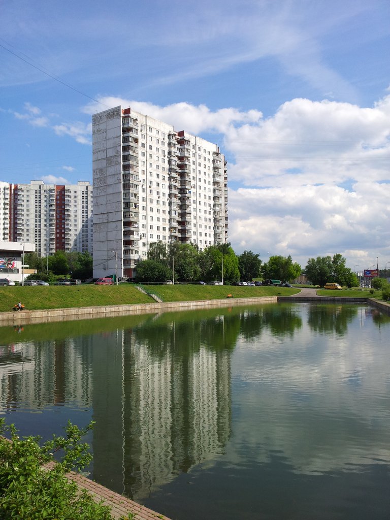 Липецкая улица. Пруд Дунай Бирюлево. Пруд Дунай Москва. Липецкая улица д. 17. Липецкая улица 17 к 1.