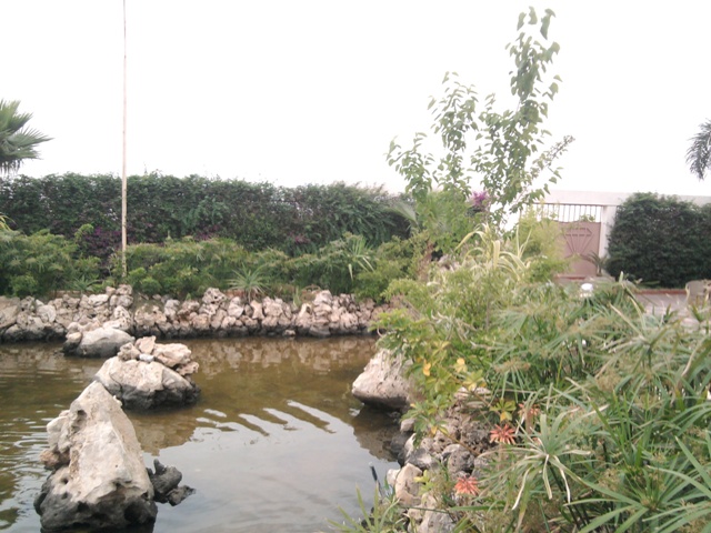 piscine jawhara