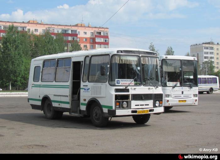 Автовокзал нижнекамск телефон. Автовокзал Нижнекамск. Автобусы Нижнекамск. Автобус татар.