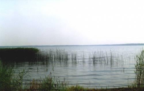 Озеро Курги: рыбалка и отдых в Челябинской области