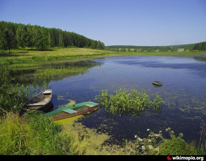 В момент открытия водоема в нем имела. Плотина Кушвинский пруд. Верхнетуринское водохранилище. Кушва пруд. Верхнетуринский пруд.