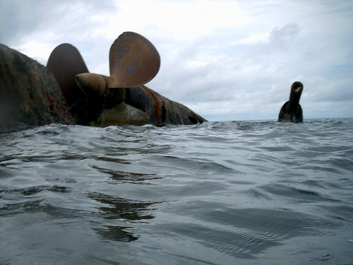 Wreck of Prinz Eugen