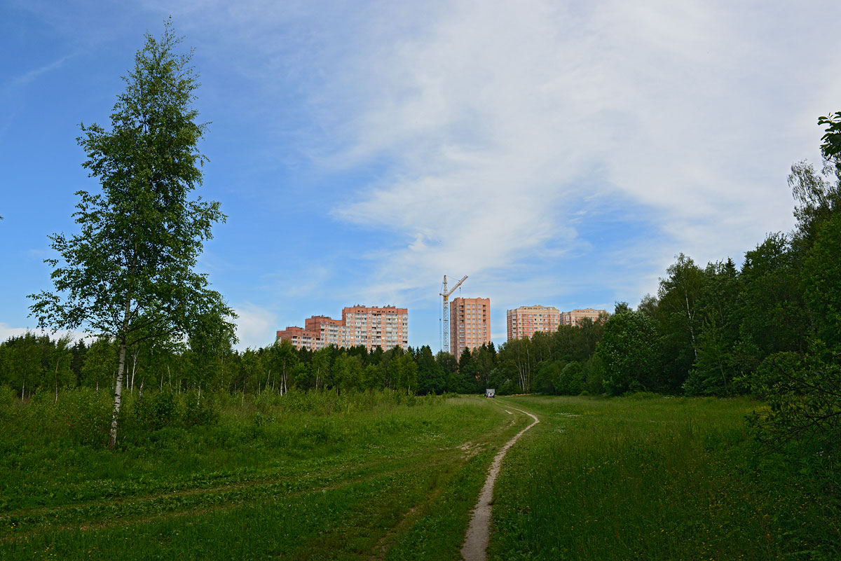 Обнинское. Обнинск. Белкинская Поляна Обнинске. Белкинский овраг Обнинск. Обнинск горнолыжный склон.