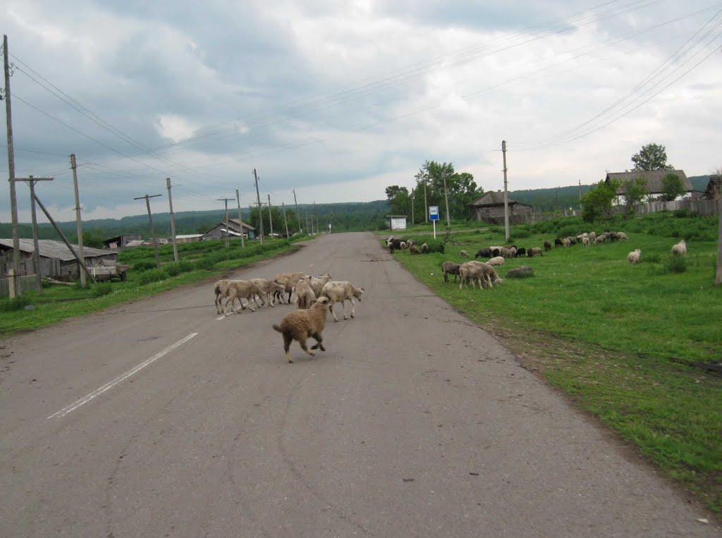 Село семеновка