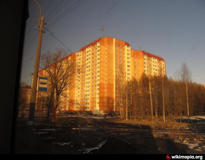 Горелово санкт петербург. Красносельское шоссе Санкт-Петербург. Красносельское шоссе д 48 Горелово. СПБ, Горелово Красносельское шоссе дом 48.