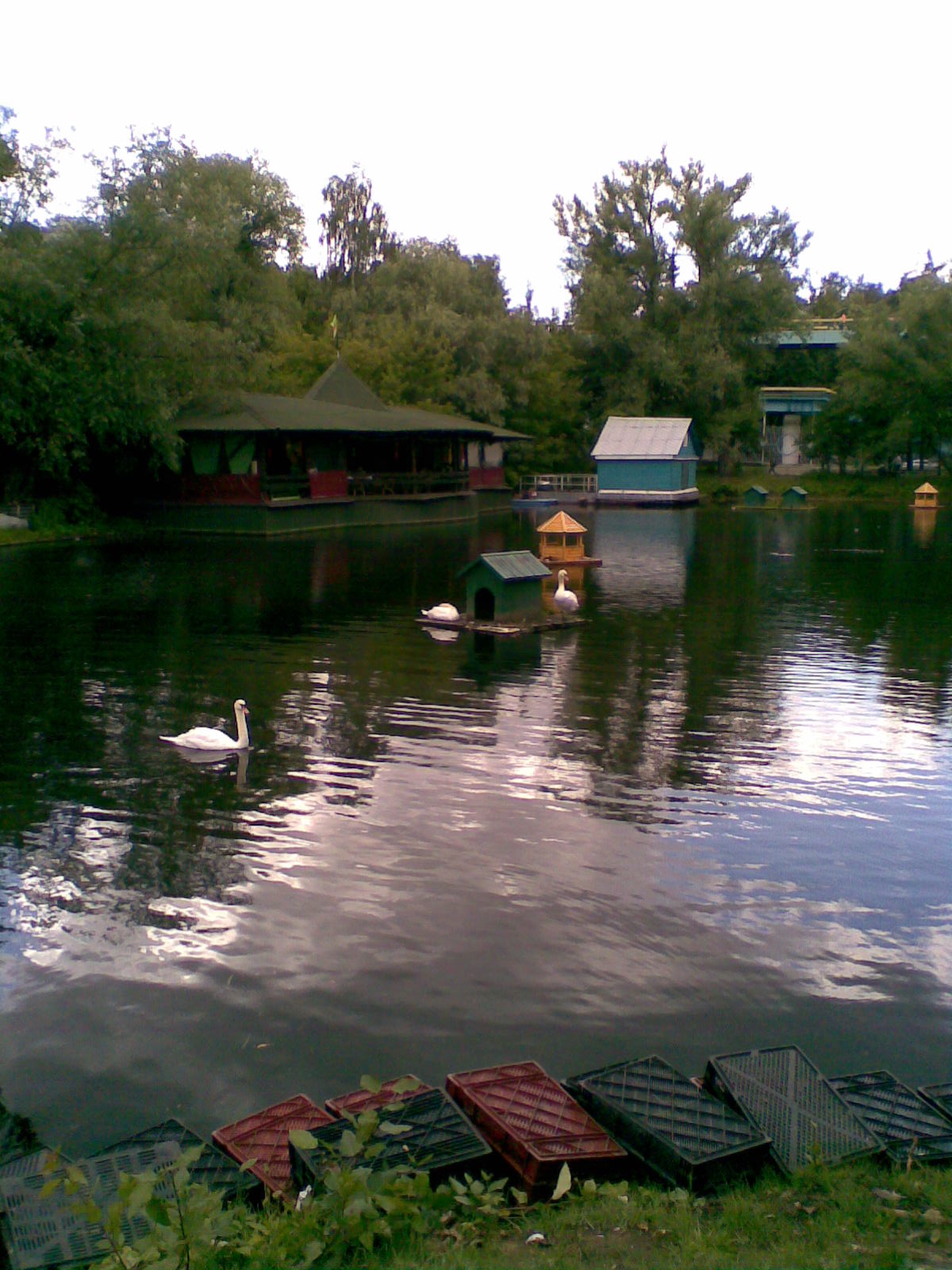 Лебединое озеро кафе парк Горького