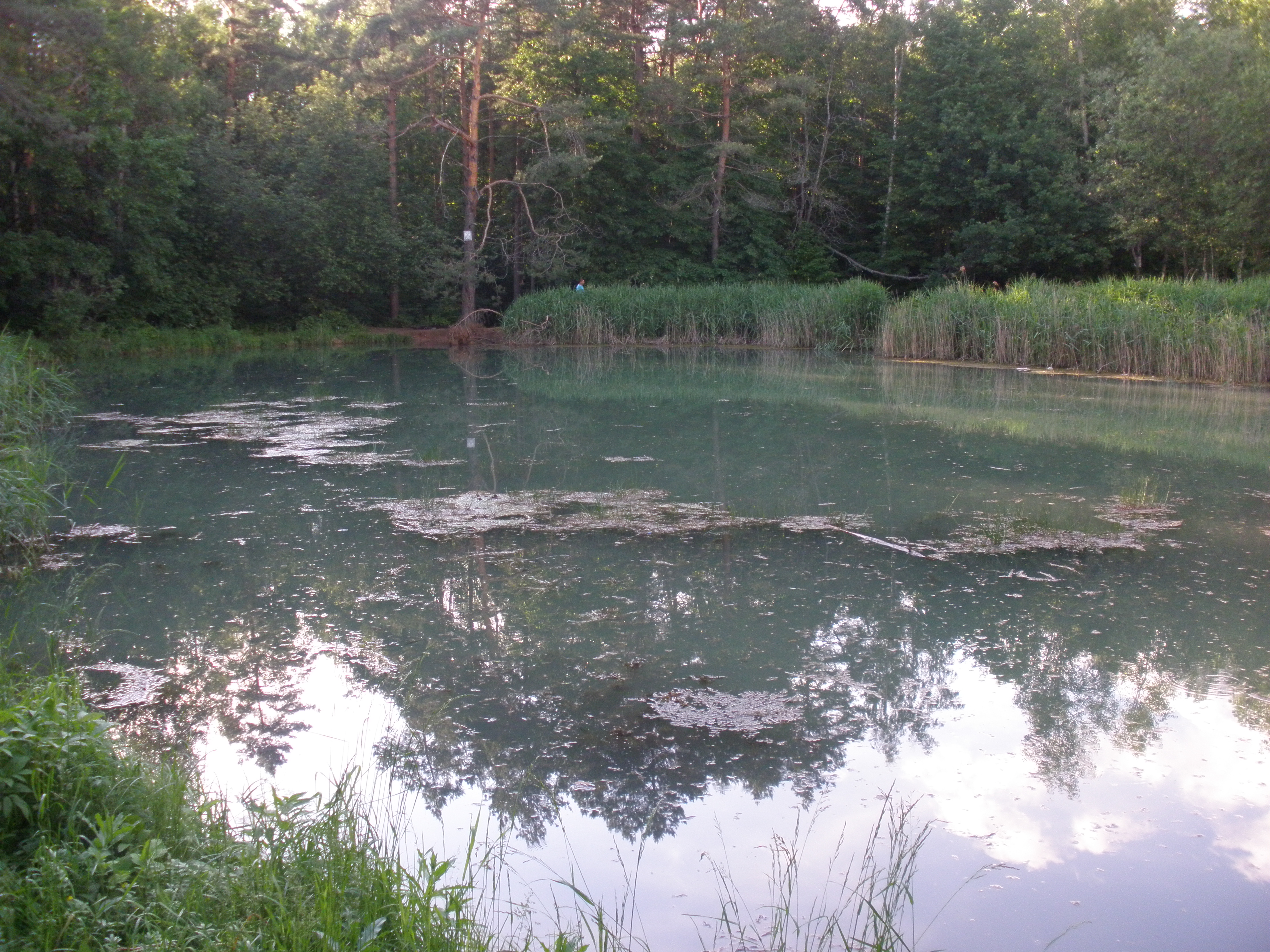 Сероводородное озеро в калуге