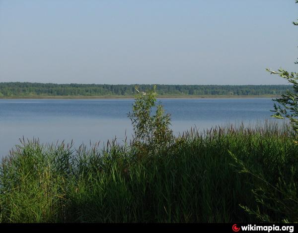 Руднянское водохранилище карта